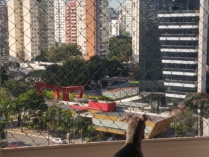 Foto de Protege Cat's em Marília, SP por Solutudo