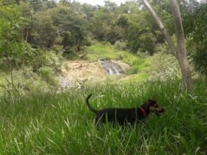 Foto galeria da empresa