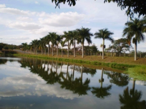 Foto de Colina em Colina, SP por Solutudo