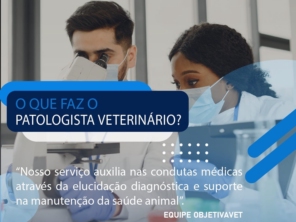 Foto de ObjetivaVet em Botucatu, SP por Solutudo