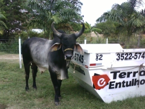 Foto de Terra e  Entulho em Teófilo Otoni, MG por Solutudo