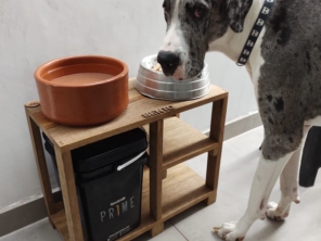 Foto de Carrocinha Pet em Botucatu, SP por Solutudo