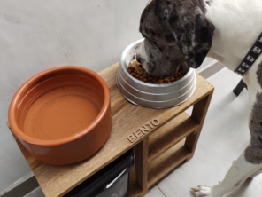 Foto de Carrocinha Pet em Botucatu, SP por Solutudo
