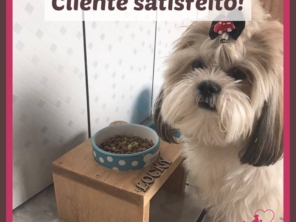 Foto de Carrocinha Pet em Botucatu, SP por Solutudo
