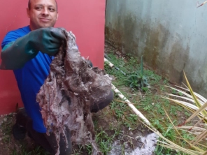 Foto de Desentupidora Nasa em Curitiba, PR por Solutudo