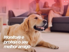 Foto de Castseg Monitoramento 24h - Boa Vista em Boa Vista, RR por Solutudo