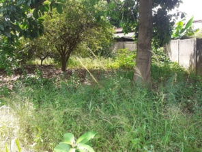 Foto de Flórida Jardim e Pintura em Botucatu, SP por Solutudo