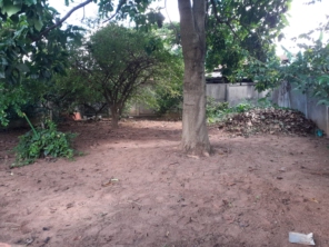 Foto de Flórida Jardim e Pintura em Botucatu, SP por Solutudo