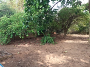 Foto de Flórida Jardim e Pintura em Botucatu, SP por Solutudo
