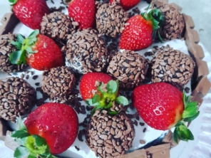 Foto galeria da empresa