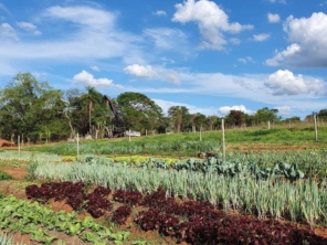 Foto galeria da empresa