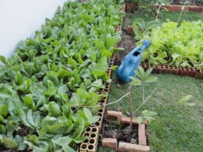 Foto galeria da empresa