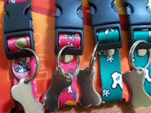 Foto de Thifany's Pet em Feira de Santana, BA por Solutudo