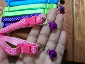 Foto de Thifany's Pet em Feira de Santana, BA por Solutudo