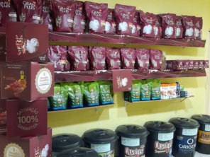 Foto de Thifany's Pet em Feira de Santana, BA por Solutudo