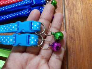 Foto de Thifany's Pet em Feira de Santana, BA por Solutudo