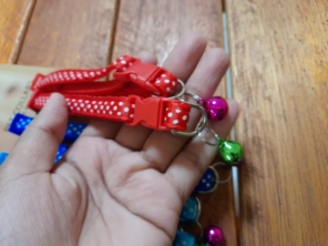 Foto de Thifany's Pet em Feira de Santana, BA por Solutudo