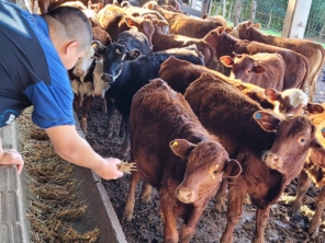 Foto galeria da empresa