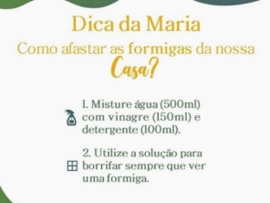 Foto de Maria Brasileira em Joaçaba, SC por Solutudo
