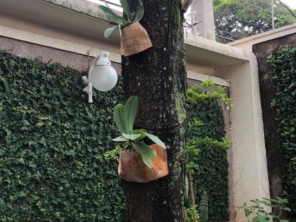 Foto de R.R. Jardinagem em Bauru, SP por Solutudo