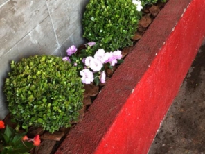 Foto de R.R. Jardinagem em Bauru, SP por Solutudo