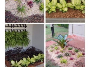 Foto de Agro Jardim em Botucatu, SP por Solutudo