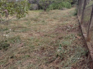 Foto de Agro Jardim em Botucatu, SP por Solutudo