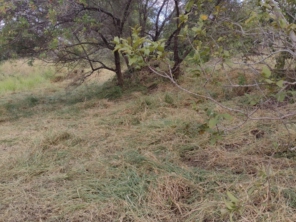 Foto de Agro Jardim em Botucatu, SP por Solutudo