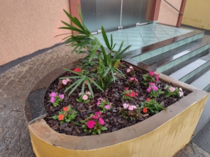 Foto de Agro Jardim em Botucatu, SP por Solutudo