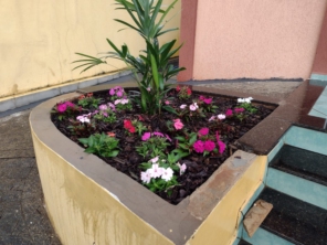 Foto de Agro Jardim em Botucatu, SP por Solutudo