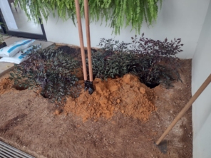 Foto de Agro Jardim em Botucatu, SP por Solutudo
