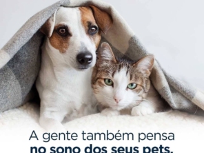 Foto de Ortobom em Charqueada, SP por Solutudo