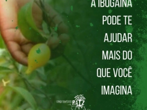Foto de Espaço Terapêutico Raiz- Tratamentos com Ibogaína em São Paulo, SP por Solutudo