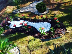 Foto de Excellent Work Limpeza E Conservacao em Senador Canedo, GO por Solutudo