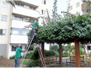 Foto de Excellent Work Limpeza E Conservacao em Senador Canedo, GO por Solutudo