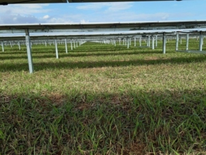 Foto de Excellent Work Limpeza E Conservacao em Senador Canedo, GO por Solutudo