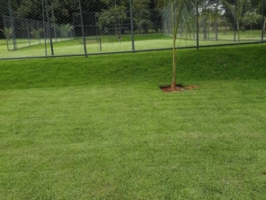 Foto de Excellent Work Limpeza E Conservacao em Senador Canedo, GO por Solutudo