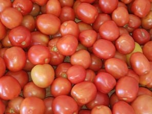 Foto de Quitanda Tomatão em Bauru, SP por Solutudo