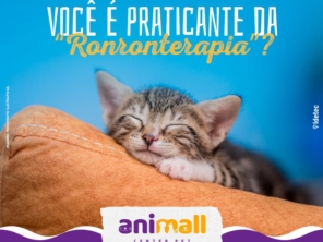 Foto de Animall Center Pet em Botucatu, SP por Solutudo