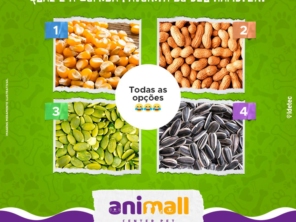 Foto de Animall Center Pet em Botucatu, SP por Solutudo