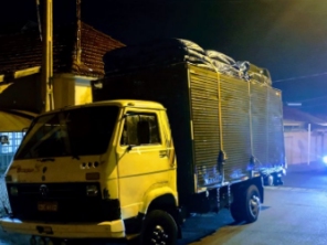 Foto galeria da empresa