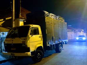 Foto galeria da empresa