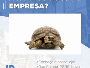 Foto de JBTI Tecnologia em Cascavel, PR por Solutudo