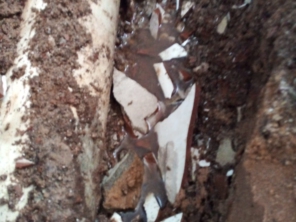 Foto de Caça Vazamentos e Desentupidora Bauru em Bauru, SP por Solutudo