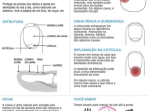 Foto de Ângela Cardoso Podologa em Marília, SP por Solutudo