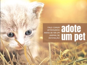 Foto de Beta Adestramento e Creche em Botucatu, SP por Solutudo