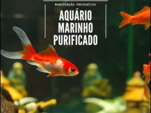 Foto de Beta Adestramento e Creche em Botucatu, SP por Solutudo