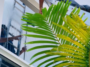 Foto de UpClean Limpeza Pós Obra em Botucatu, SP por Solutudo