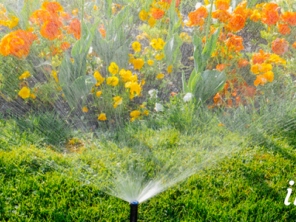 Foto de Irrigbem - Sistemas de Irrigação em Bauru em Bauru, SP por Solutudo