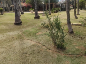Foto de CLJ Construção, Limpeza e Jardinagem em Boituva, SP por Solutudo